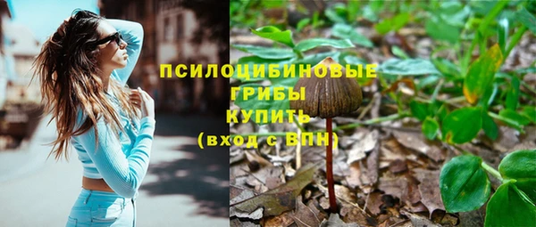 МДПВ Аркадак